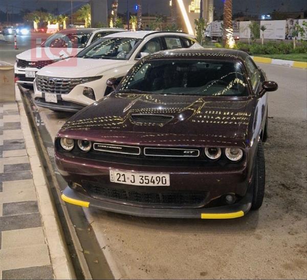 دۆج  بۆ فرۆشتن لە عێراق
